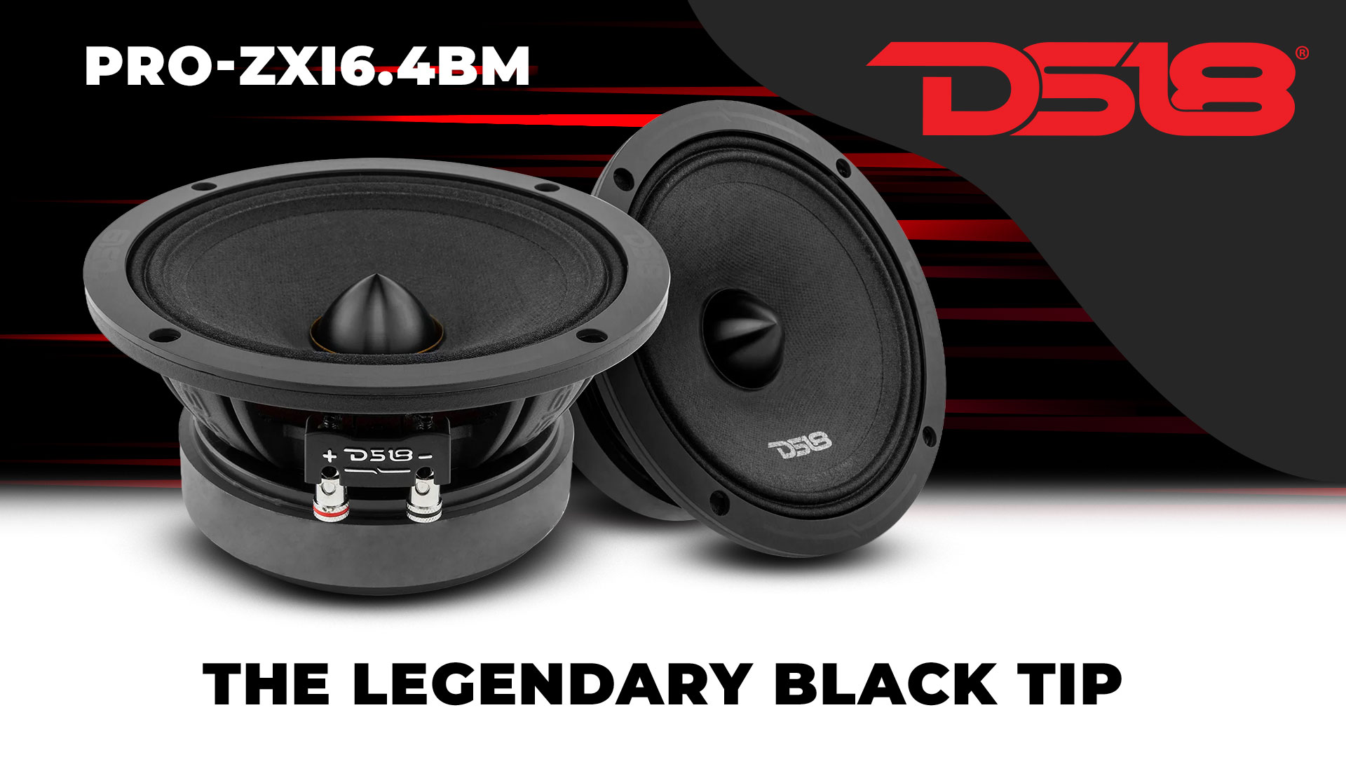 Amazon.com: DS18 PRO-ZXI6.4BM 6.5